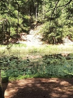 Fotografija s spletne strani Bodo K. na poti