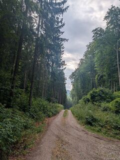 Photo de HOJ_09 le long du parcours