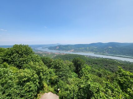 Fotografia z Zoltán Kőrösi na trase
