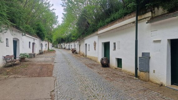 Fotografija s spletne strani Franz Fuchs na poti