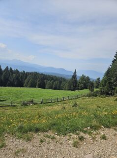 Photo de Michael Weiss2 le long du parcours