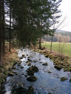 Foto von Wanderfux entlang der Tour