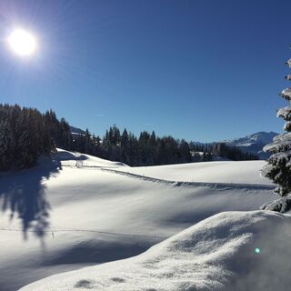 Winterlandschaft rund um Juppi Zauberwald am Reither Kogel