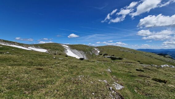 Photo de EP87 le long du parcours
