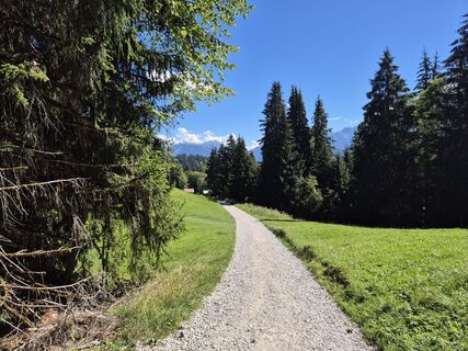 Fotografija s spletne strani Hans ten Brink na poti