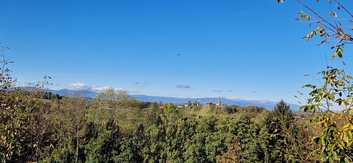 Fotografia z Utassy Tóth Johanna na trase