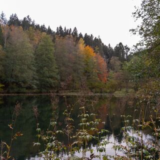 Heinsberger Stauweiher