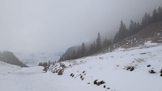Foto de Johannes Zaunrith (Xinoi) a lo largo del recorrido