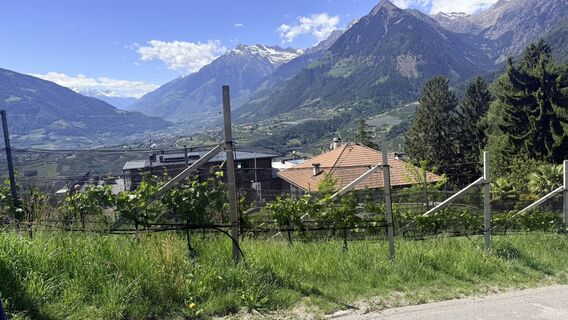 Photo de Florin Telser le long du parcours