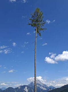 Foto von kstb entlang der Tour