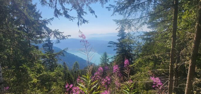 Foto von Barbara Turi entlang der Tour