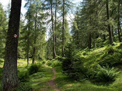 Die Strada degli Alpi des Bedrettotals