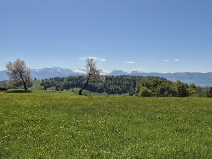 Foto von alinradu entlang der Tour