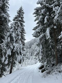 Photo de Paul le long du parcours