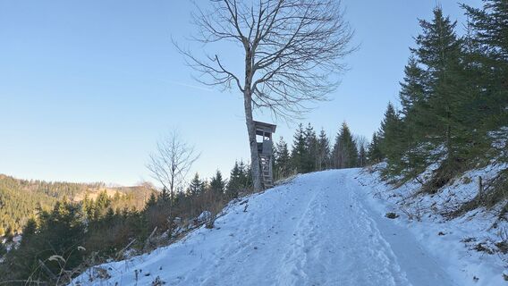 Hochstand