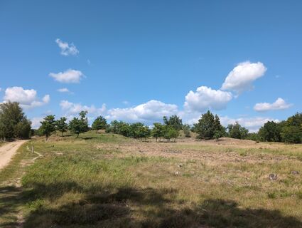 Fotografia z Marcel Zielinski na trase