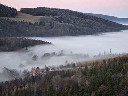Fotografia z TwilightTea na trase