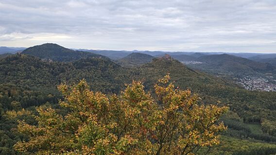 Foto von Katja Senkel entlang der Tour