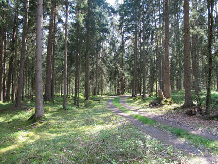 Rundwanderung Weiler Berg