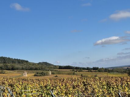 Fotografie z Frellie na trase