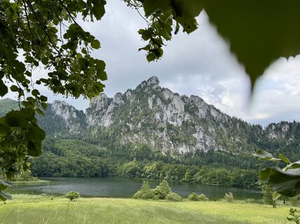 Foto van Dani Geiger / Natur_erleben_dg langs de tour
