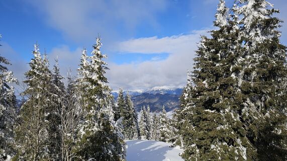 Fotografia z Paula Heichinger na trase