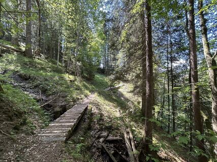 Foto von Rolf Limacher entlang der Tour
