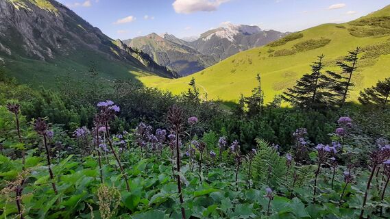 Fotografia z Aga M na trase
