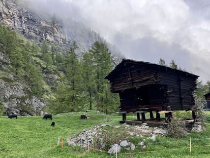 Foto von Martin Würsch entlang der Tour