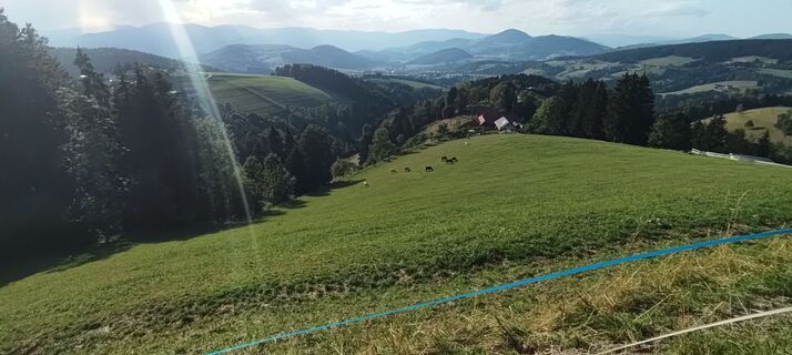 Foto von wolfkl entlang der Tour