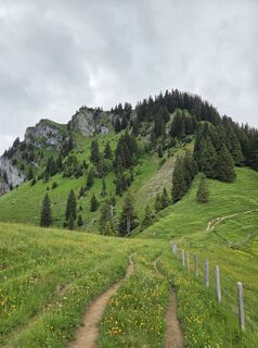 Foto från Sven under resans gång