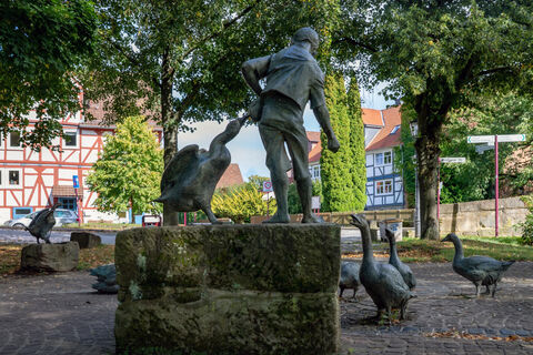 kaufungen_gaenserammel_4522a