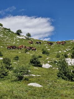 Foto von MITJA MUMLEK entlang der Tour
