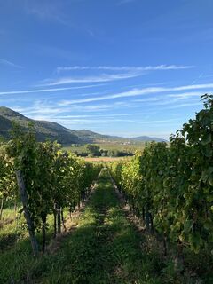 Photo de Peter Hildenbrand le long du parcours