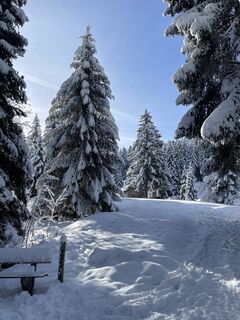 Fotografie z Carsten Breitfeld na trase