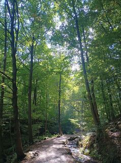 Foto von Andreas Beuster Huke entlang der Tour
