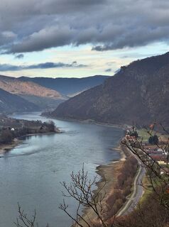 Foto de Mimi a lo largo del recorrido