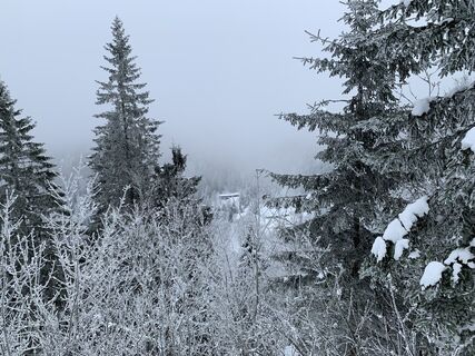 Foto från Kristina  1 under resans gång