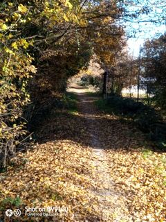 Foto de Vittorio Besazza a lo largo del recorrido