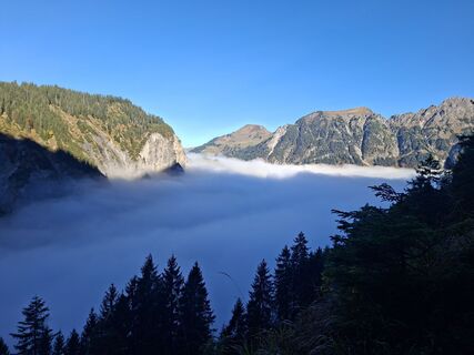 Fotografija s spletne strani Karl-Heinz Martin na poti