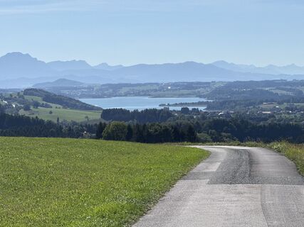 Photo de F. Shirazi-Joska le long du parcours