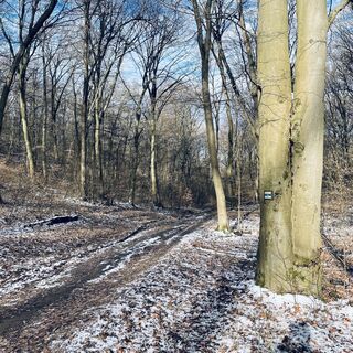 Foto de Bacskai János a lo largo del recorrido