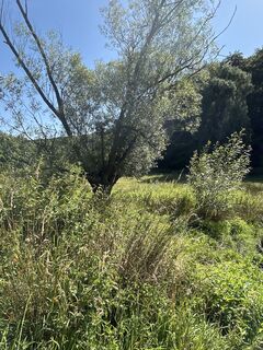 Foto de Robert Christiaans a lo largo del recorrido