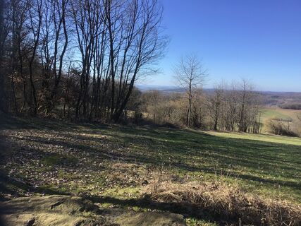 Fotografia z Eroica Kremer na trase