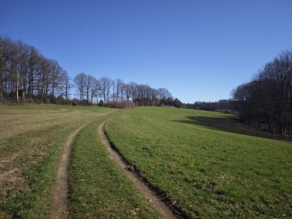 Foto von Björn Heun entlang der Tour