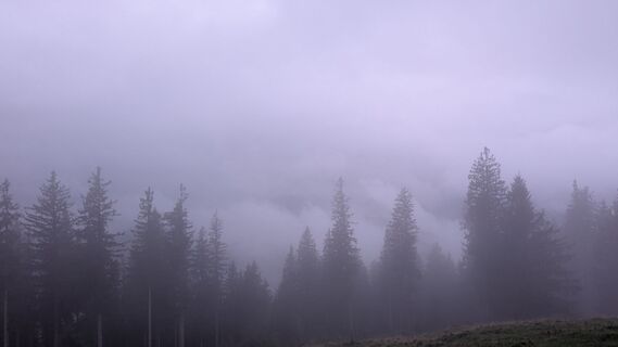 Foto de Thomas Heß a lo largo del recorrido