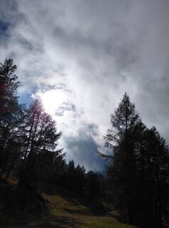 Photo de Ingeborg Novacek le long du parcours