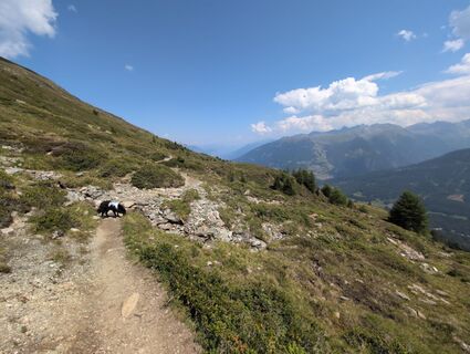Foto von Benjamin Bergmann entlang der Tour