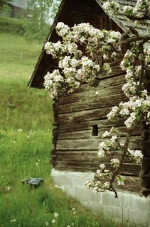 Arriacher Bauernhütte im Frühling
