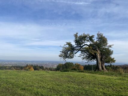 Fotografie z Sven Krieblin na trase